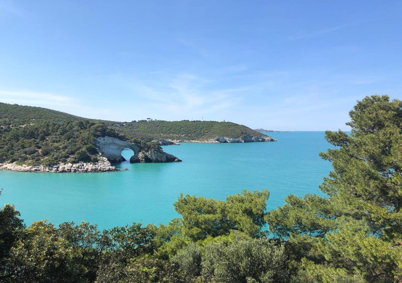 Vieste Suite Екстериор снимка