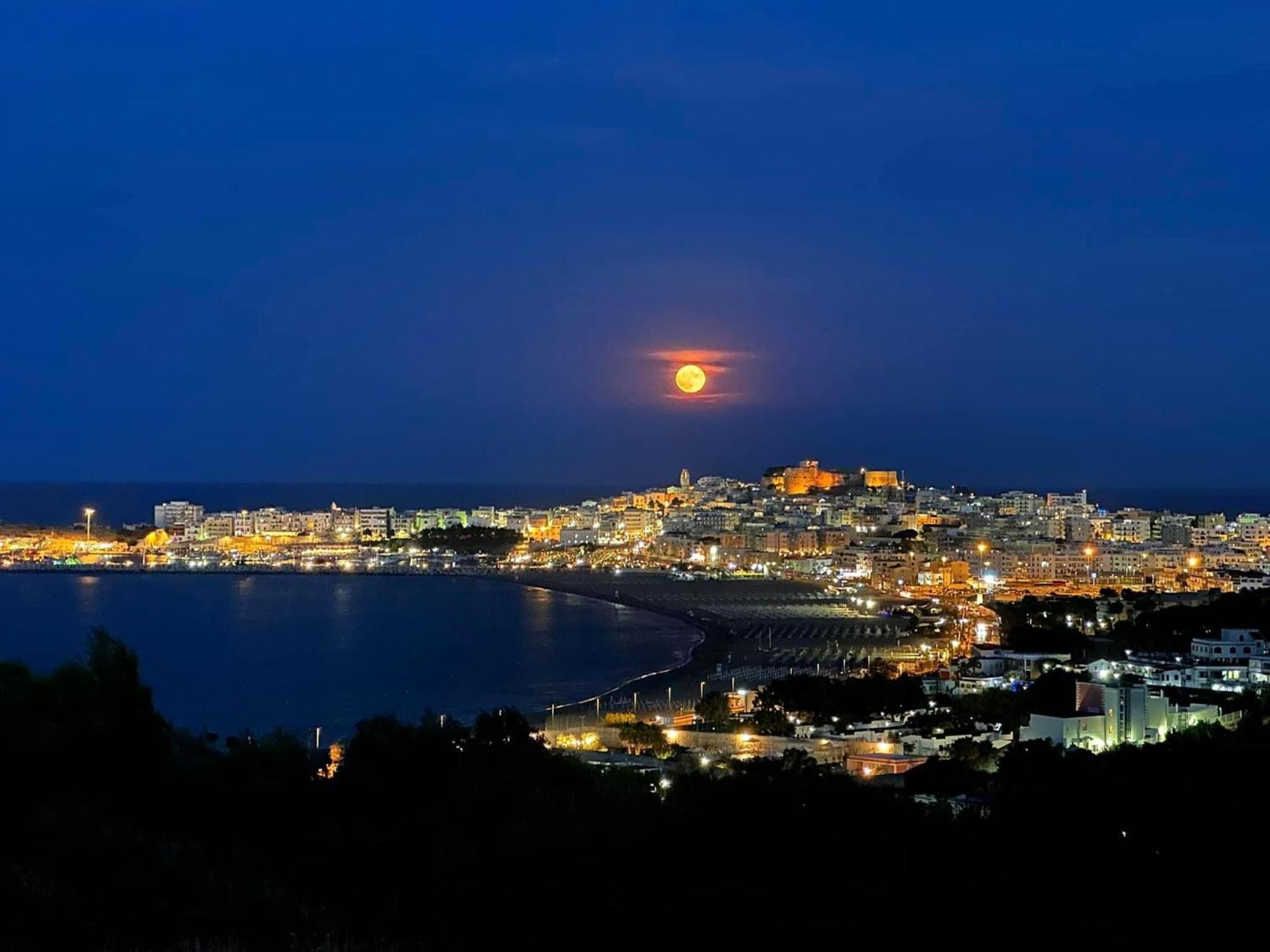 Vieste Suite Екстериор снимка